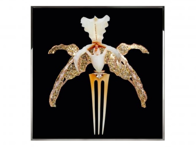 Katina Orchidea Lalique
