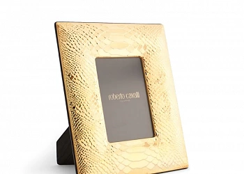 Python gold plated picture frame