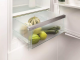 Freestanding refrigerator Liebherr IRDe 5120 Plus