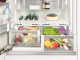 Built-in two-compartment refrigerator Liebherr ECBN 6156