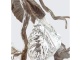 Подвесной светильник Calathea Ornata Extra Small